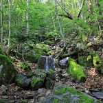 marche-foret-chambre-hotes-ardeche