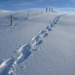 neige-ardeche