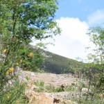 chemin-rando-barnas-ardeche